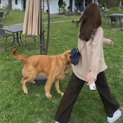 沙漠未婚妻